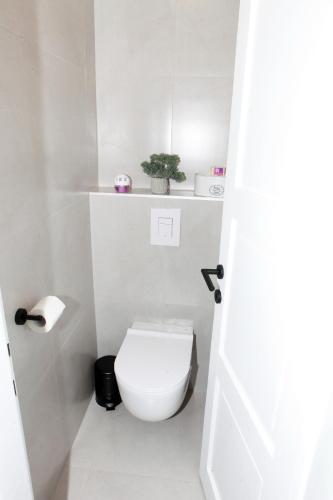 Koupelna v ubytování D&K Apartman