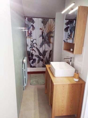 uma casa de banho com um lavatório branco e um espelho. em Appartement à 50 m de la plage em Audierne