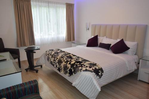 Ένα ή περισσότερα κρεβάτια σε δωμάτιο στο Hotel Condesa 185