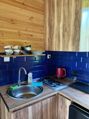 Virtuvė arba virtuvėlė apgyvendinimo įstaigoje Cottage kazbegi sioni