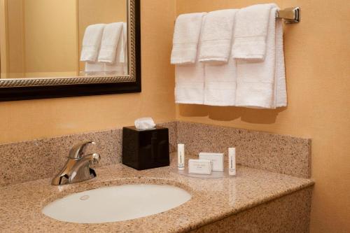 Holland的住宿－霍蘭托萊多機場萬怡酒店，浴室配有盥洗盆、镜子和毛巾