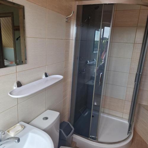 a bathroom with a shower and a sink and a toilet at Griežto 5 in Zarasai