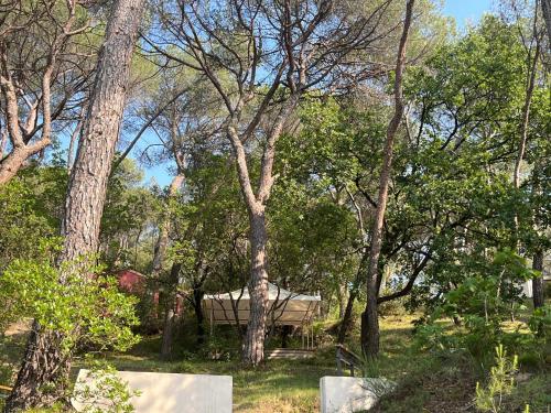 Fotografie z fotogalerie ubytování Camping Le Mas de Reilhe v destinaci Crespian