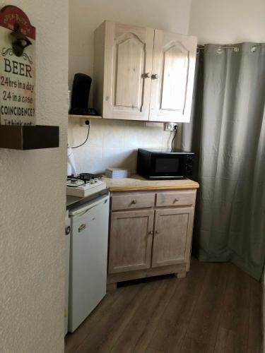 a small kitchen with a stove and a microwave at Petite maison VILLEFORT in Villefort