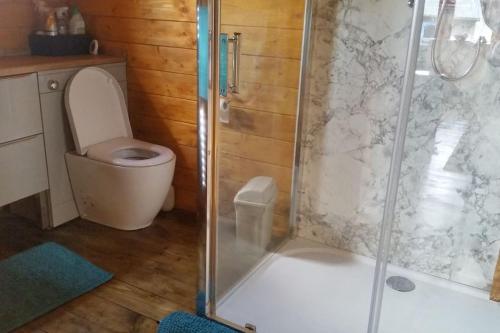 a bathroom with a toilet and a glass shower at Bishy Barnabees country lodge with hot tub in Swaffham