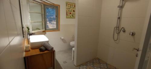 a bathroom with a shower and a sink and a toilet at מקום לנשום בית אירוח in Sheʼar Yashuv