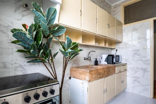 Convenient 3-Bedroom Apartments next to Bom Sucesso
