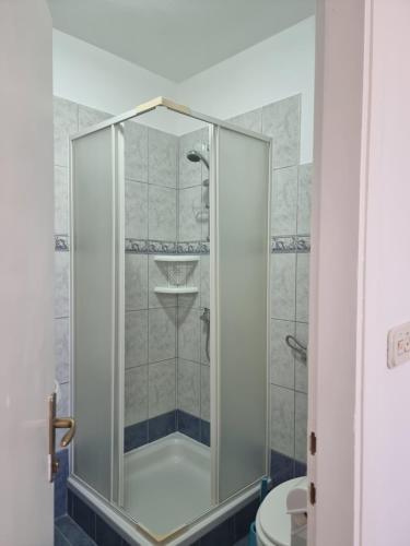 a bathroom with a shower and a toilet at APARTMANI ALEN in Dinjiška