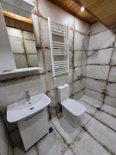 a bathroom with a sink and a toilet and a mirror at Townhouse in Mountains. in Bakuriani
