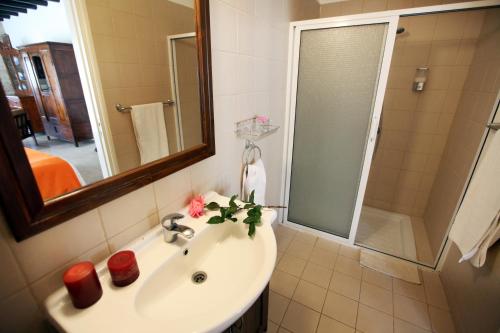 a bathroom with a sink and a shower and a mirror at Leonidas Village Houses in Goudhi