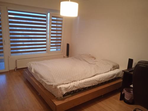 RazgradにあるRazgrad homeのベッドルーム1室(ベッド1台、大きな窓付)