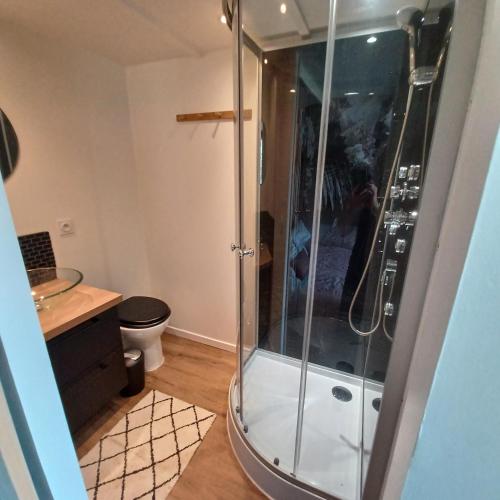 une douche avec une porte vitrée dans une salle de bain dans l'établissement Petit cocon avec terrasse, à LʼIsle-sur-la-Sorgue