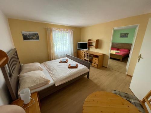 a hotel room with a bed and a mirror at Pension U Rytíře in Janov