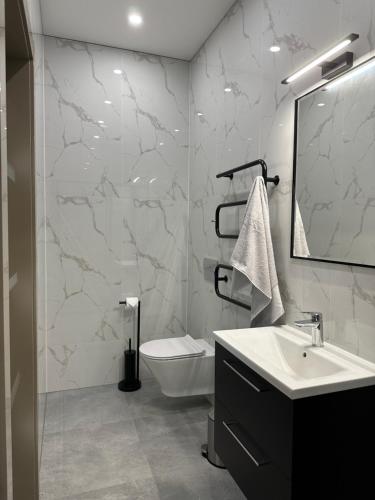 bagno con lavandino, servizi igienici e specchio di Villa BEBRŲ NAMAI with Hot Tub a Ginduliai