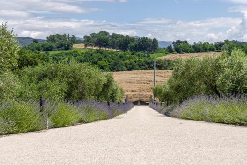 a dirt road with bushes and purple flowers at TENUTA FOGLIANI Resort & Natural Spa in Visciano