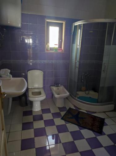 La salle de bains est pourvue de toilettes, d'un lavabo et d'une douche. dans l'établissement Noor Apartment, à Amman