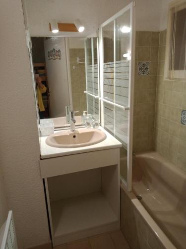 une salle de bain avec un lavabo et une douche dans l'établissement Studio Rez de jardin St Aygulf, à Fréjus