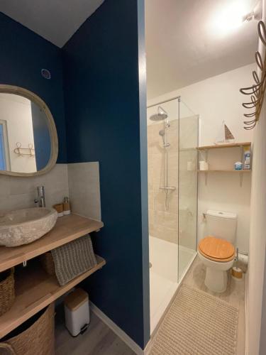 een badkamer met een toilet en een glazen douche bij « Le Bellevue » by P&T in Canet-en-Roussillon