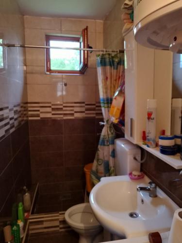 a bathroom with a sink and a toilet and a shower at DRAGICA Manastirska 10 in Ljubovija