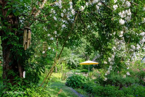 a yellow umbrella in a garden with flowers at Design Ferienwohnung mit Bauerngarten in Waldkirchen