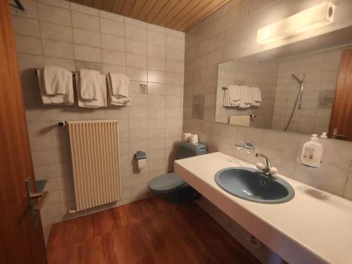 La salle de bains est pourvue d'un lavabo, de toilettes et d'un miroir. dans l'établissement Gasthof zum Wilden Mann, à Aarwangen