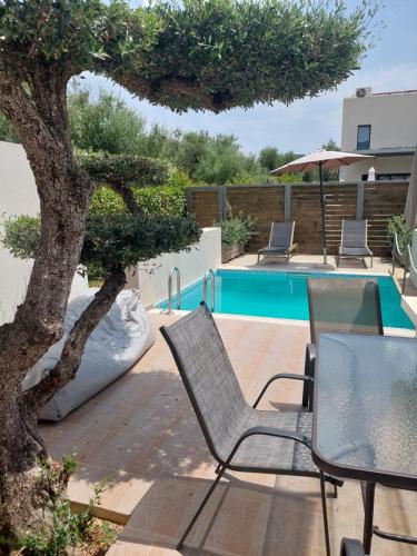 a patio with chairs and a tree next to a swimming pool at Zante Flower Studios & Apartments in Alikanas