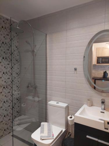 ein Bad mit einer Dusche, einem WC und einem Waschbecken in der Unterkunft Zante Flower Studios & Apartments in Alikanas
