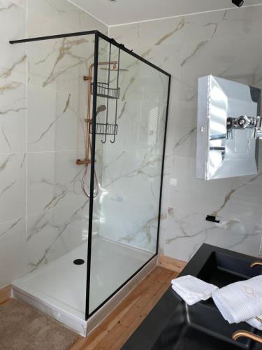 La salle de bains est pourvue d'une douche et d'une cabine de verre. dans l'établissement Circa 1929, à Ostende
