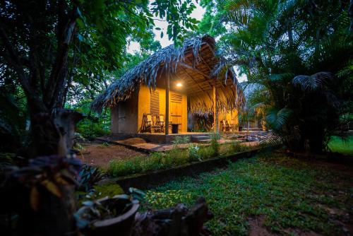 Κήπος έξω από το Private Organic House