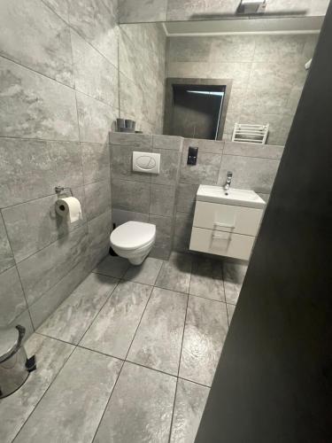 a bathroom with a toilet and a sink at Baltic Sun SPA in Rewal