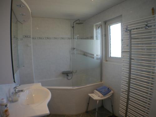 La salle de bains est pourvue d'une douche, de toilettes et d'un lavabo. dans l'établissement Siebengebirgsblick, à Bonn