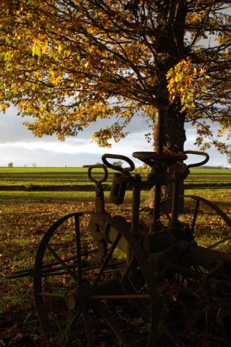 a bike parked under a tree in a field at Edel de la Touche Balard in Val Couesnon