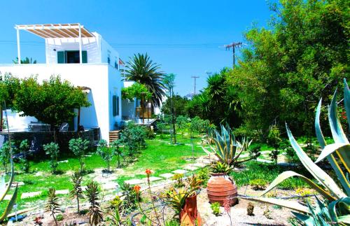 a garden in front of a house with plants at ANCIENT MEROPIA - Les jardins des muses in Apollonia