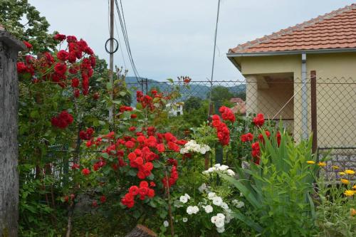 Gallery image of B&B Ana in Virpazar