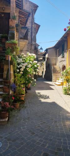 a street with potted plants on the side of a building at LA CHASCONA DI FARNESE casa di tufo nel borgo in Farnese