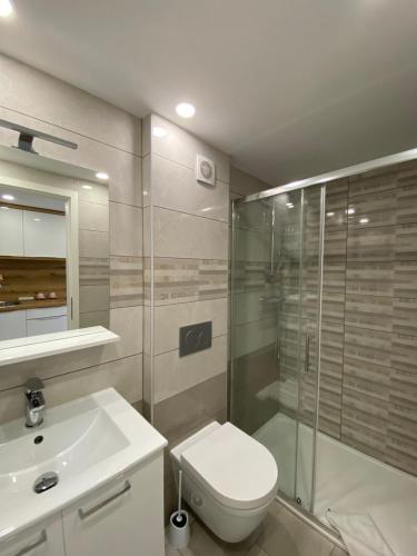 La salle de bains est pourvue de toilettes, d'une douche et d'un lavabo. dans l'établissement The Amazing Loft, à Ljubljana