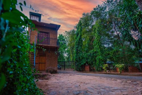 Κήπος έξω από το Private Organic House