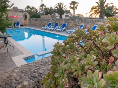 Φωτογραφία από το άλμπουμ του VinDor Villa σε Sannat