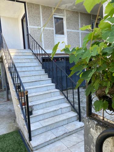 Φωτογραφία από το άλμπουμ του Hotel Liza στο Μπατούμι