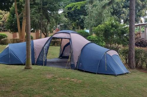 two tents in a field next to trees at The Forest House - Kawuku-Bunga in Kampala