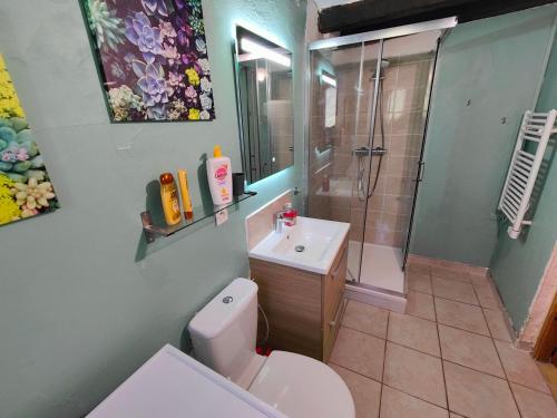 uma casa de banho com um WC, um chuveiro e um lavatório. em La Source em Sermaise