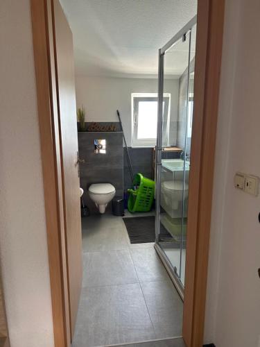 ein Badezimmer mit Toilette und Glastür in der Unterkunft Apartment Maki with new Pool Nin in Vrsi