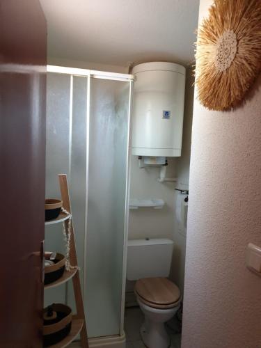 Elle comprend une petite salle de bains pourvue de toilettes et d'une armoire. dans l'établissement T2 plage place parking wifi gratuit, à Port-la-Nouvelle