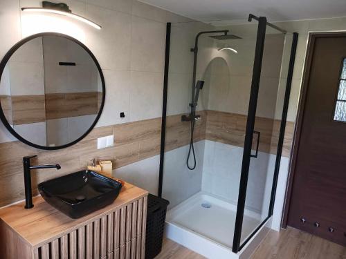 a bathroom with a shower and a sink and a mirror at Apartament Rabinówka in Maruszyna