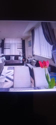 una sala de estar con sofás y una flor roja en un jarrón en 2 bedrooms, 2 bathrm Leicester City Apartment, Central Location, sleeps 2 en Leicester