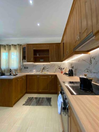 a kitchen with wooden cabinets and a sink and a stove at Villa Antonia in Alikanas