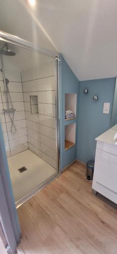 a bathroom with a shower with a glass door at La Plante, tendance et design in Ornans