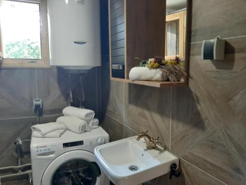 にあるDomaćinstvo Pešićaの洗濯機と洗面台を備えたバスルーム