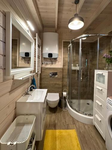 a bathroom with a shower and a sink and a toilet at Zatoka Kalwa in Pasym