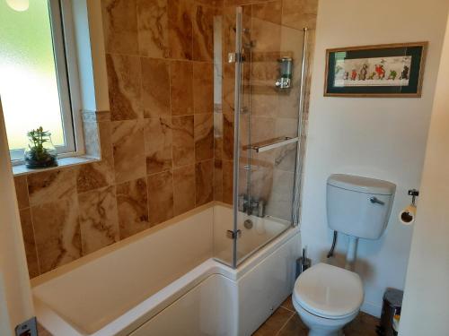 a bathroom with a shower and a toilet at 3 Bed-Sleeps 6-Pets-River View-Hot Tub in Belturbet